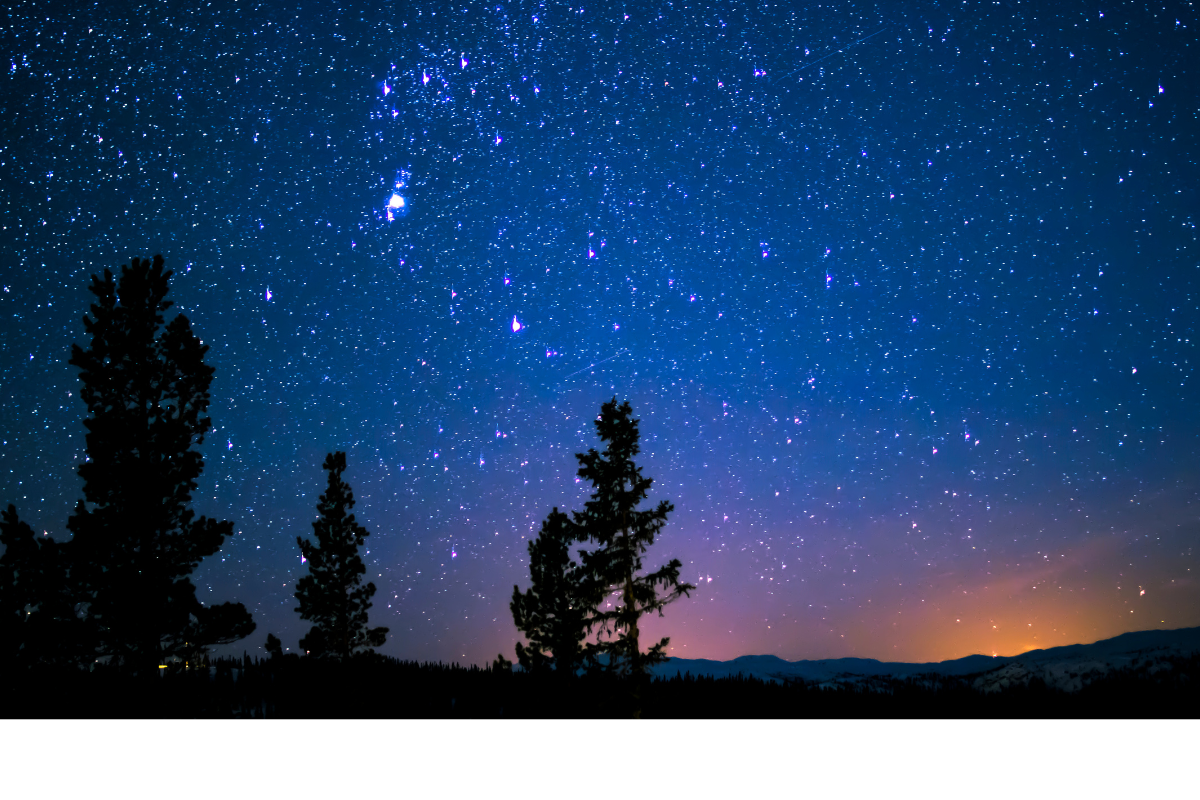 the stars at night
